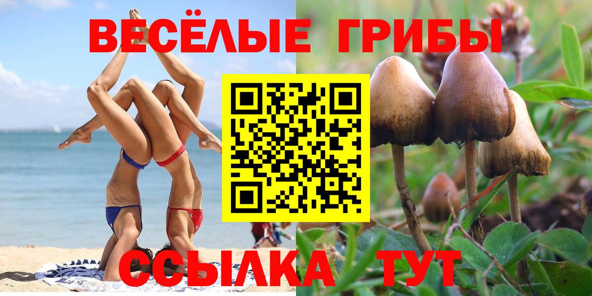 Псилоцибиновые грибы ЛСД  Галлюциногенные грибы мухоморы  Первоуральск  Вход с VPN 
